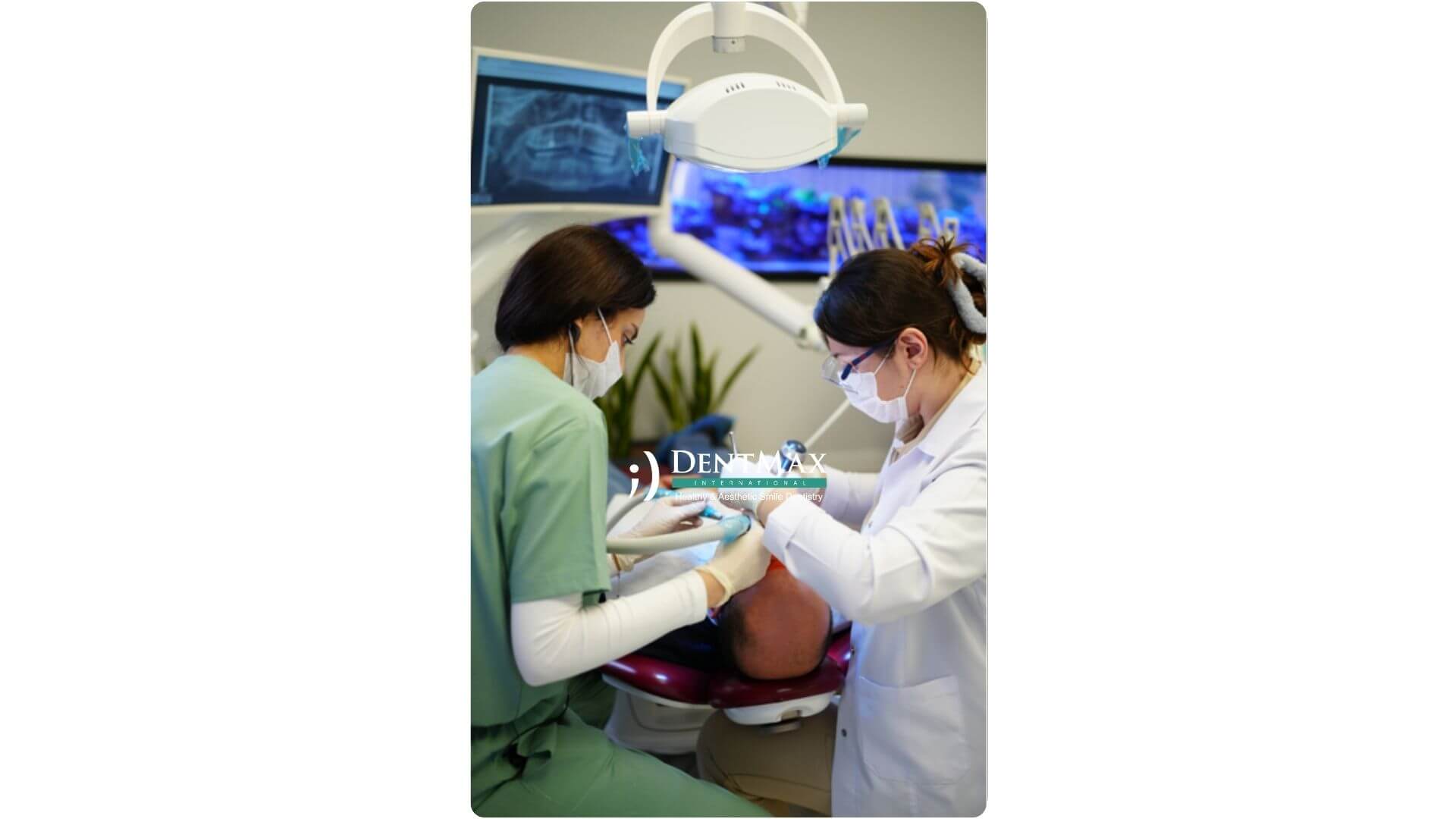 Dentmax Banner
