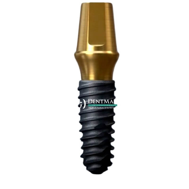 Dentmax